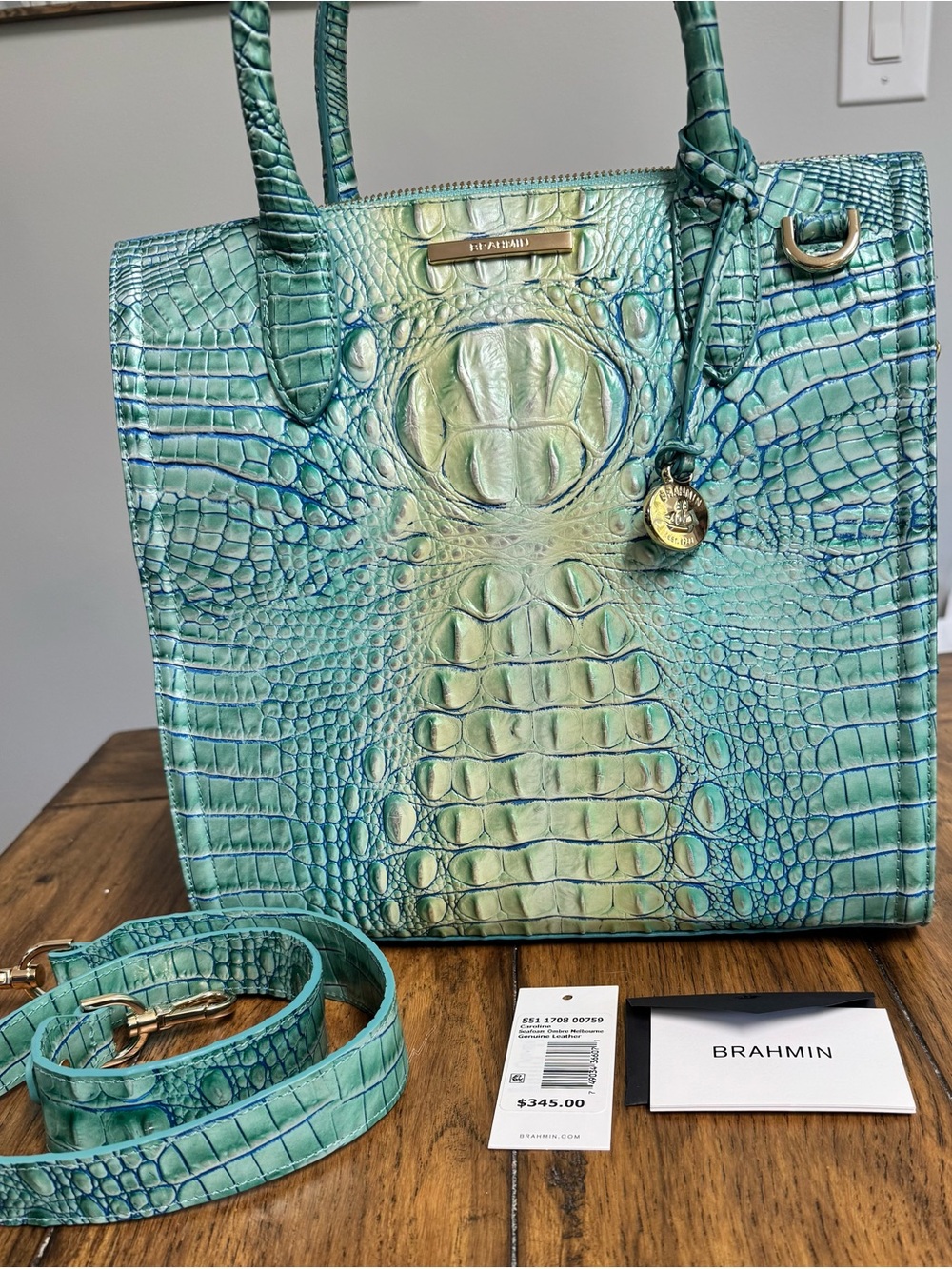 Brahmin Seafoam Ombré Melbourne Large Caroline Satchel